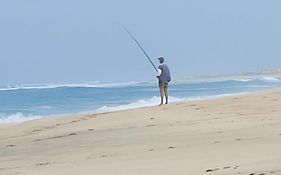 Barracudamaio